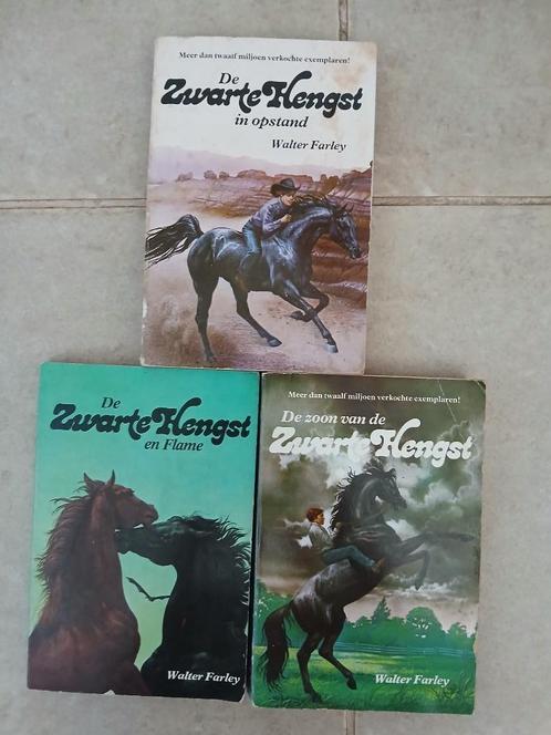 3 boeken van Walter Farley - De Zwarte Hengst, Boeken, Kinderboeken | Jeugd | 10 tot 12 jaar, Gelezen, Ophalen of Verzenden