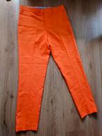 Oranje broek pantalon Opposuits Eu50/L (koningsdag/WK, Kleding | Heren, Ondergoed, Oranje, Ophalen of Verzenden, Boxer