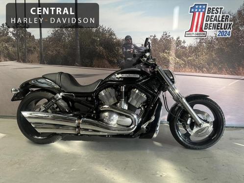 Harley-Davidson Vrscdx vrod, Motoren, Motoren | Harley-Davidson, Bedrijf, Overig