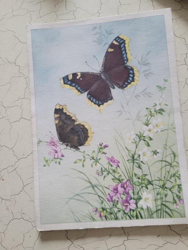 Oude gelopen kaart vlinders, Verzamelen, Ansichtkaarten | Themakaarten, Gelopen, 1940 tot 1960, Natuur, Ophalen of Verzenden