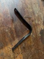 Zwarte wintec boom, Ophalen of Verzenden, Overige soorten