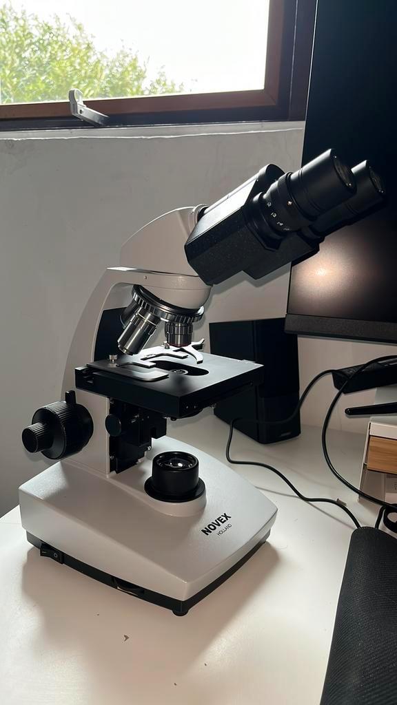 Microscoop, Audio, Tv en Foto, Optische apparatuur | Microscopen, Zo goed als nieuw, Ophalen of Verzenden