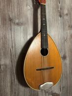 Mandolin instrument, Ophalen, Zo goed als nieuw