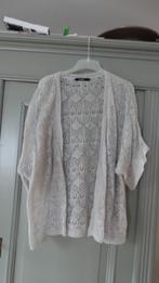 Promiss lichtgrijs, luchtig opengebreid vest, maat 2XL, Promiss, Verzenden, Maat 46/48 (XL) of groter, Zo goed als nieuw