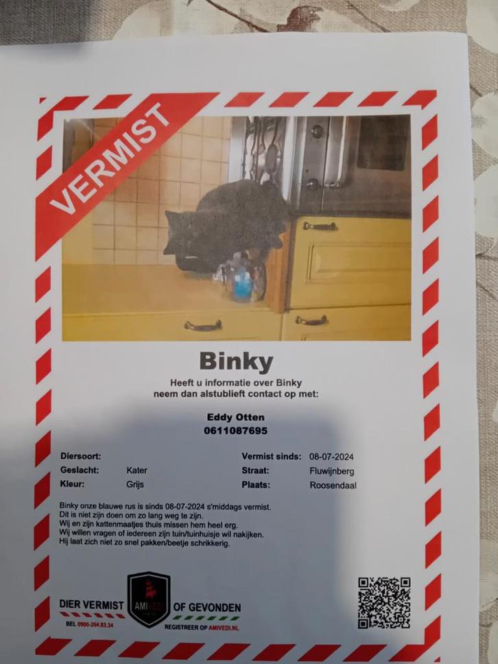 Vermissing Binky, Dieren en Toebehoren, Vermiste en Gevonden Dieren, Kat