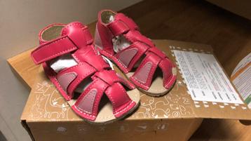 Nieuwe Zeazoo Gobi sandalen maat 20