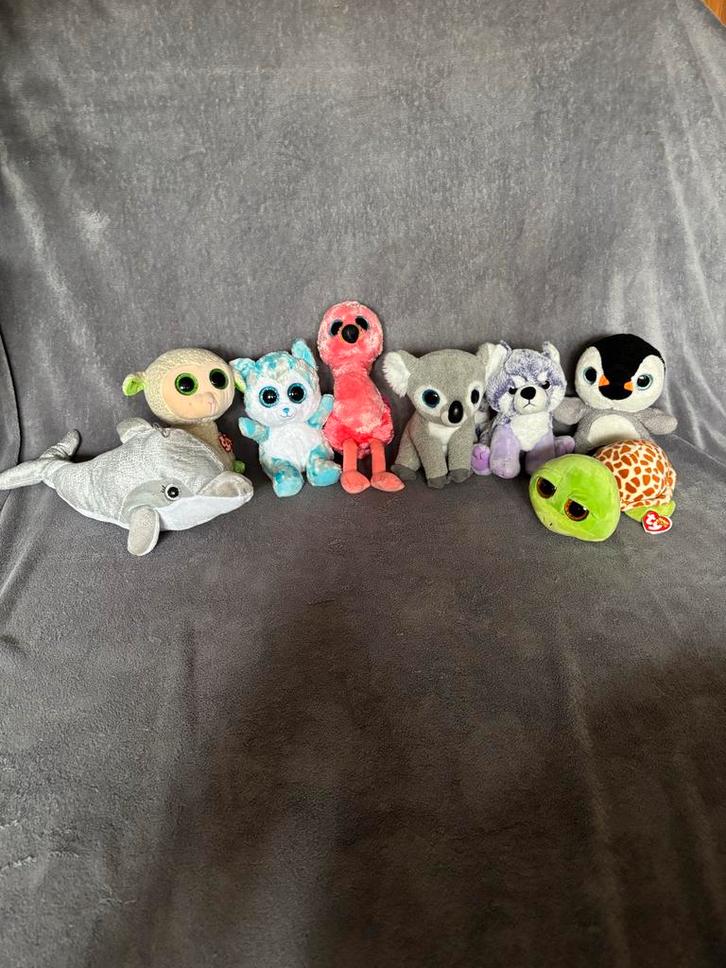 Diverse Ty knuffels dieren van 20 cm, Kinderen en Baby's, Speelgoed | Knuffels en Pluche, Nieuw, Overige typen, Ophalen of Verzenden