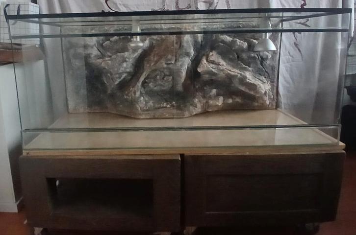 Mooi terrarium met 3D-achterkant. (125x50x50), Dieren en Toebehoren, Reptielen en Amfibieën | Toebehoren, Ophalen