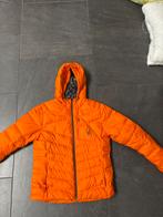 Oranje Spyder Jas - Maat M, Ophalen of Verzenden, Zo goed als nieuw, Maat 48/50 (M), Oranje