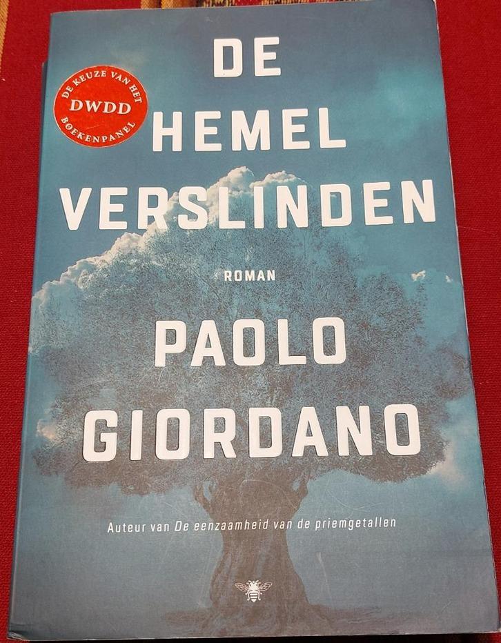 De Hemelverslinder, Paolo Giordano, Boeken, Literatuur, Zo goed als nieuw, Nederland, Ophalen of Verzenden