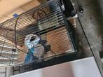 Hamsterkooi en meer, Kooi, Minder dan 75 cm, Zo goed als nieuw, Ophalen