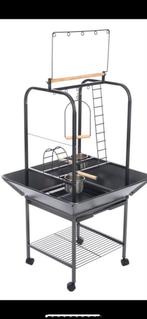 Speel plek papegaai, Mannelijk, Papegaai