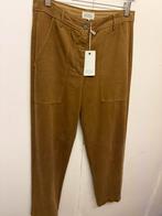 Nieuwe Hartford Pastotra pants M, Kleding | Dames, Broeken en Pantalons, Verzenden, Nieuw, Bruin, Lang