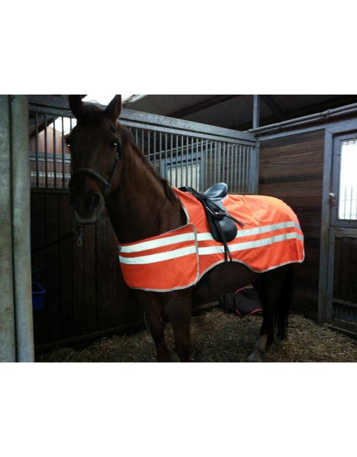 RESTANT PARTIJ!! Veiligheids buitenrijdeken reflecterend, Dieren en Toebehoren, Paarden en Pony's | Dekens en Dekjes, Nieuw, Deken