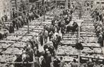 Lammerenmarkt op Texel 1960, Verzamelen, Ansichtkaarten | Nederland, Verzenden, 1940 tot 1960, Gelopen, Waddeneilanden