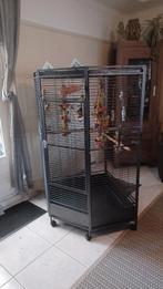 Papegaaienkooi keddoc, Ophalen, Zo goed als nieuw, Metaal, Overige typen