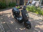Niu NQI sport brommer brom scooter 45 km/h, Ophalen, Niu, Maximaal 45 km/u, Elektrisch