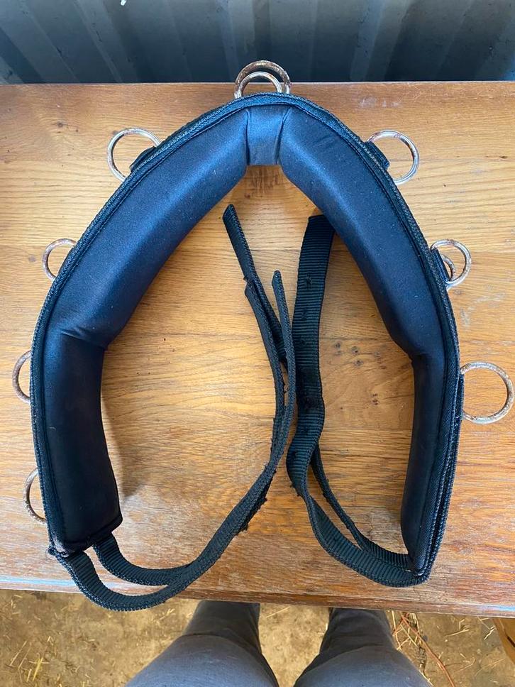 Longeerssingel en hulpteugels Harry's Horse, Dieren en Toebehoren, Paarden en Pony's | Hoofdstellen en Tuigage, Nieuw, Overige soorten