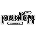 The Prodigy – Experience, Ophalen of Verzenden, Zo goed als nieuw