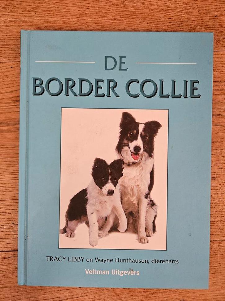 Ontdek de Wereld van de Border Collie - Boek, Boeken, Dieren en Huisdieren, Gelezen, Honden, Ophalen of Verzenden