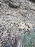Gratis ophalen opscheppen brekerzand 1,5/2 M3 Kuub zand, Tuin en Terras, Zand, Ophalen, Brekerzand