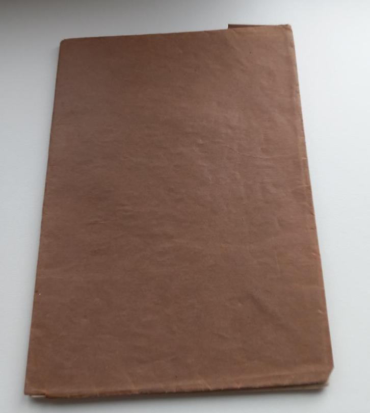 school boekje uit 1908 C. Bensik - Plantenleven, Antiek en Kunst, Antiek | Boeken en Bijbels, Ophalen of Verzenden