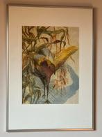 Groot ets schilderij Fazant in maisveld 50.5/71 cm, Antiek en Kunst, Kunst | Schilderijen | Klassiek, Ophalen of Verzenden