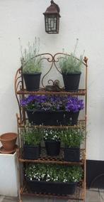 Planten-etagère, Tuin en Terras, Overige Tuin en Terras, Ophalen, Gebruikt