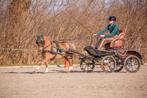 Marathonwagen gezocht pony!!, Dieren en Toebehoren, Paarden en Pony's | Overige Paardenspullen, Ophalen of Verzenden, Gebruikt