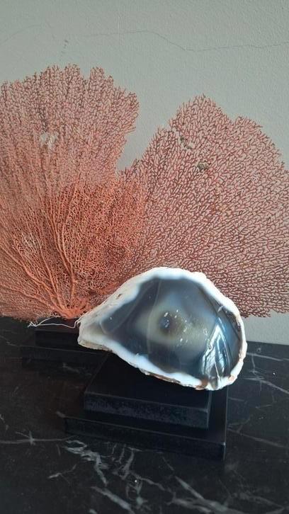 Gaaf en uniek stuk orka 's eye kristal gesteente Op voet, Verzamelen, Mineralen en Fossielen, Mineraal, Ophalen of Verzenden
