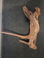 Uniek stuk terrarium aquarium hout, Dieren en Toebehoren, Amfibie, 0 tot 2 jaar