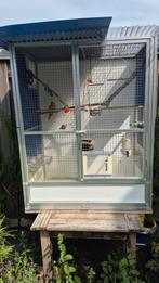 aluminium voliere inclusief vogel en toebehoren., Dieren en Toebehoren, Vogels | Hokken en Kooien, Ophalen, Zo goed als nieuw