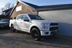 Ford F 150 USA F150 SUPERCREW V6 ECO PLATINUM ED. LPG, Automaat, Stoelverwarming, Wit, Bedrijf