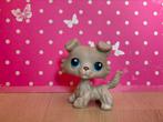 Littlest pet shop 363 collie dog hond petshop LPS, Ophalen of Verzenden, Gebruikt