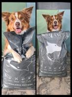 Inbalance brokken zalm 10 kilo, Dieren en Toebehoren, Ophalen of Verzenden, Hond