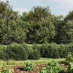 AANBIEDING | Draadgaashek met palen 25 meter staal! GRTS BEZ, Tuin en Terras, Gaas en Draad, Verzenden, Nieuw, Minder dan 10 meter