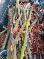 Eiken  & Beukenhout - Kleine Partij, Tuin en Terras, Haardhout, Minder dan 3 m³, Ophalen