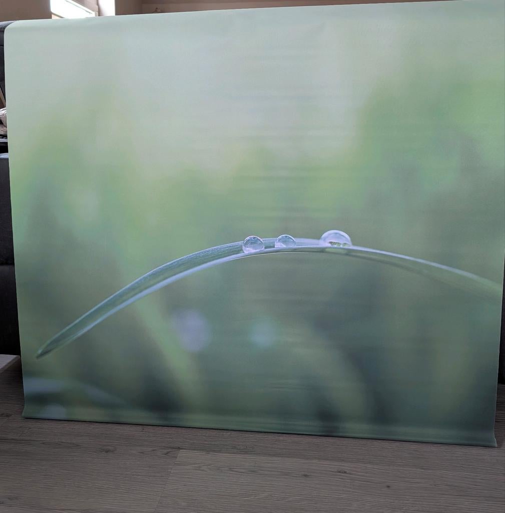 Nieuw rolgordijn 1.07 B x 1.45 L, Ophalen, 100 tot 150 cm, Nieuw, Bohemian