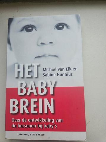M. van Elk - Het babybrein beschikbaar voor biedingen