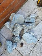 Aquarium stenen, Ophalen, Zo goed als nieuw, Plant(en), Steen of Hout