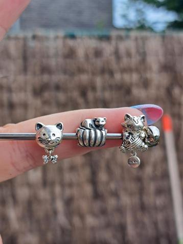 Pandora katten bedels beschikbaar voor biedingen