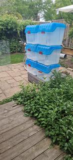 Opbergboxen 10 stuks 100 liter merk IRIS OHYAMA stapelbaar, Doe-het-zelf en Verbouw, Kratten en Dozen, Ophalen, 40 tot 60 cm, 50 tot 75 cm