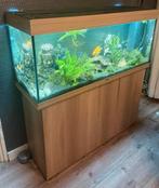 Juwel rio 240, Dieren en Toebehoren, Vissen | Aquaria en Toebehoren, Ophalen of Verzenden, Zo goed als nieuw, Leeg aquarium