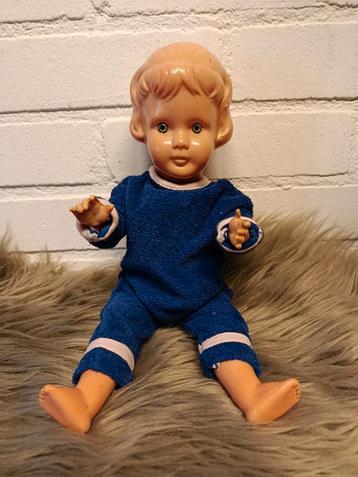 Wildebras pop beschikbaar voor biedingen