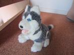 knuffel  hond    HUSKY        hoogte 22 cm  lengte 30 cm, Hond, Ophalen of Verzenden, Zo goed als nieuw