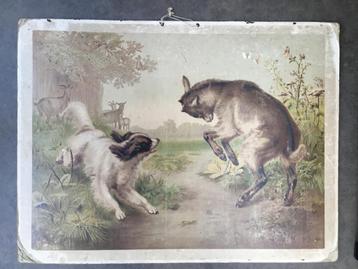 Antieke Schoolplaten - Diverse Thema's beschikbaar voor biedingen