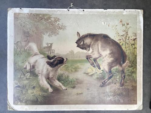 Antieke Schoolplaten - Diverse Thema's, Antiek en Kunst, Antiek | Schoolplaten, Overige thema's, Ophalen