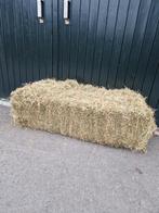 Hooipakken Topkwaliteit, Dieren en Toebehoren, Ophalen, Vee