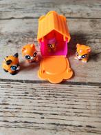 Hachimals, Ophalen, Zo goed als nieuw, Jongen of Meisje