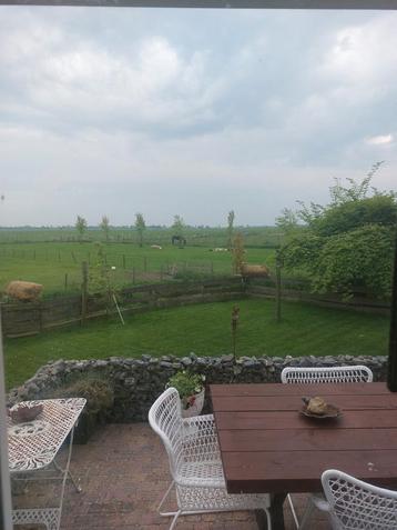 Paarden en ponnystalling te huur en weidegang beschikbaar voor biedingen